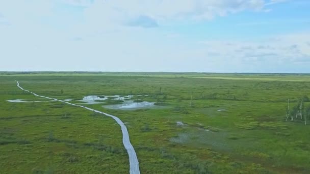 Vista Aérea Caminho Ecológico Através Pântano Pessoas Que Caminham Pelo — Vídeo de Stock