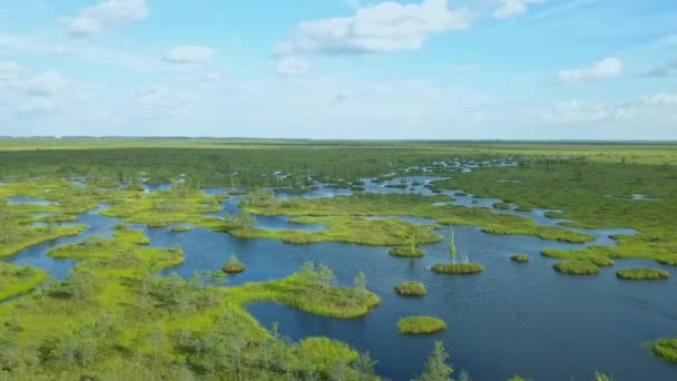 Ovanifrån Sumpigt Landskap Flygfoto Över Träsket Med Lake Miljöreservationskoncept Vild — Stockvideo