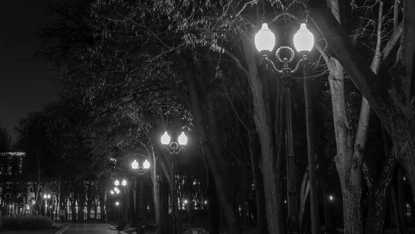 Image Blanche Noire Parc Automne Nocturne Avec Des Feuilles Jaunes — Photo