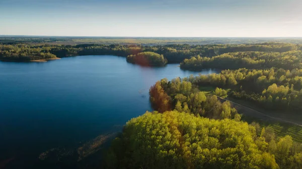 Fotografia Aérea Drones Árvores Verdes Crescer Margem Lago Natureza Paisagem — Fotografia de Stock