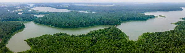 Fotografia Aérea Drones Árvores Verdes Crescer Margem Lago Natureza Paisagem — Fotografia de Stock