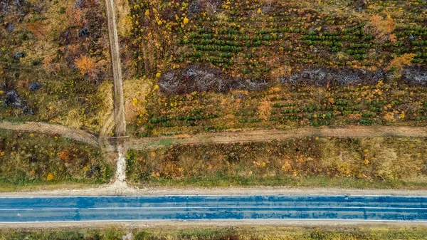 Vista Aérea Cima Para Baixo Estrada Asfalto Rural Outono Cores — Fotografia de Stock