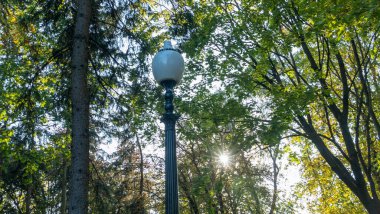 Yaz yeşilliklerinde sokak feneri. Güneş ışığı. Gün boyunca parktaki sokak lambası kapalı..