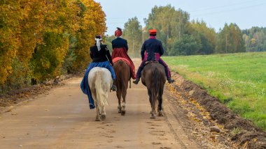 Bir grup tilki avcısı sonbahar tarlasında atların üzerinde. Geleneksel at avının tekrarı. Kırsal kesimde binicilik sporu.