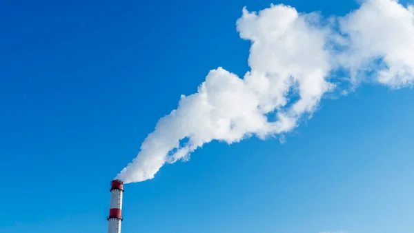 Stock image White thick smoke from the boiler room chimney. Industrial zone.