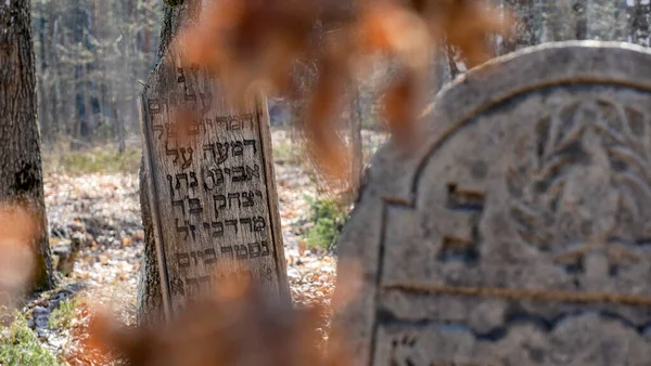 Eski Yahudi Mezarlığında Terk Edilmiş Mezar Taşları Mezar Taşlarındaki Branice — Stok fotoğraf