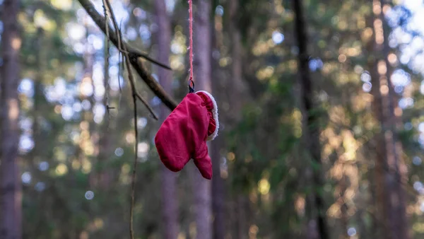 Una Manopla Roja Cuelga Árbol Bosque Búsqueda Personas Desaparecidas Bosque — Foto de Stock