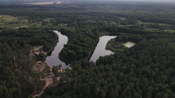 Αεροφωτογραφία Του Ποταμού Του Δάσους Και Της Παραλίας Αεροφωτογραφία Του — Αρχείο Βίντεο