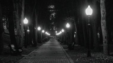 Gece gürültülü, siyah ve beyaz bir sonbahar parkı. Altın sonbahar sezonunda asfalt yaprakları ve banklar üzerine düşmüş. Fenerlerle aydınlatılmış..