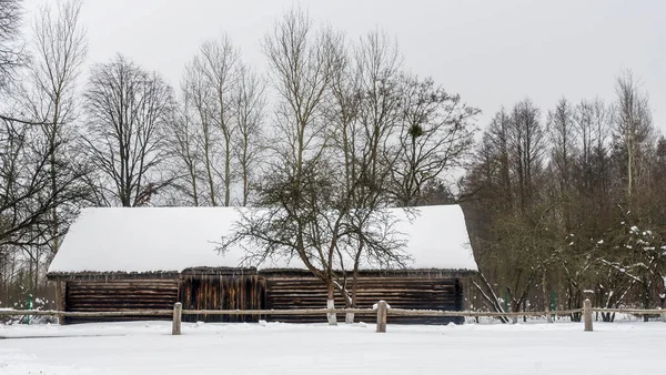 Winter Besneeuwde Dorpshuis Omheining Bomen Mooi Oud Dorpshuis Midden Mooie — Stockfoto