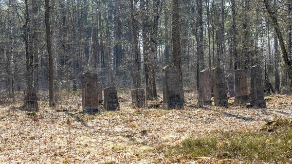 Eski Yahudi Mezarlığında Terk Edilmiş Mezar Taşları Mezar Taşlarındaki Branice — Stok fotoğraf