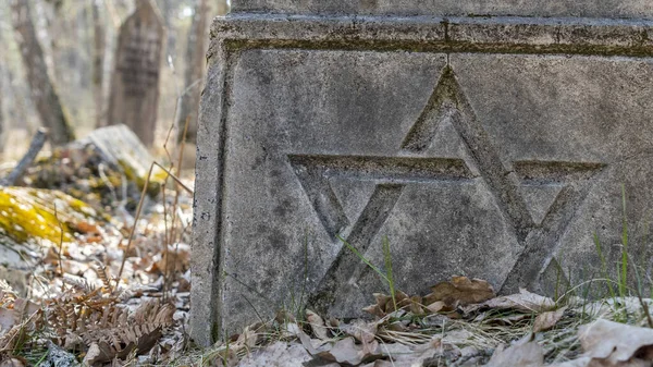 Yahudi Mezar Taşı Ormandaki Eski Yahudi Mezarlığı — Stok fotoğraf