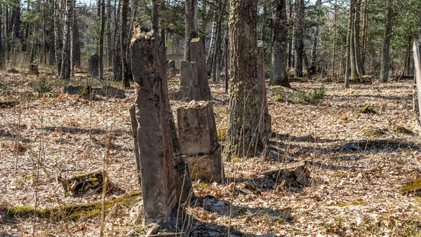 Tombstone Yahudi Pemakaman Yahudi Tua Hutan — Stok Foto