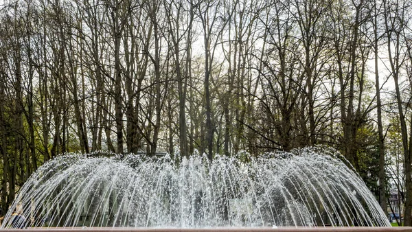 Eau Fontaine Haut Ruisseau Des Hautes Eaux Fontaine Derrière Ciel — Photo