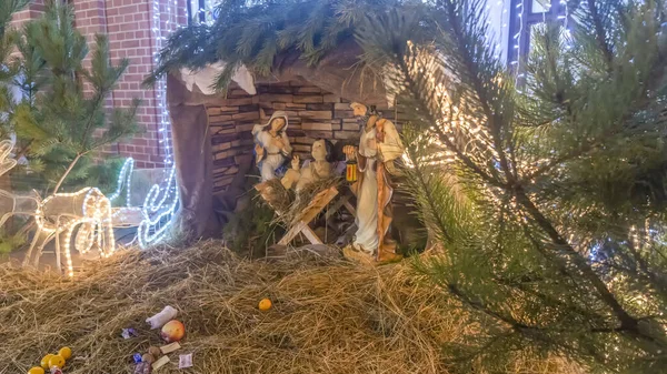 Scéna Narození Vánoční Betlém Ježíškem Marií Josefem Jeslích Ovcemi — Stock fotografie