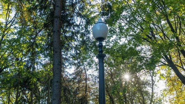 Straatlantaarn Achtergrond Van Zomerbladeren Zonneschijn Straatlamp Wordt Overdag Het Park — Stockfoto