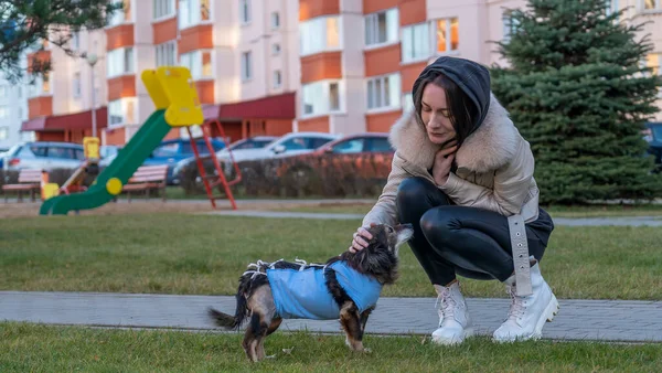 Uma Menina Caminha Rua Com Cachorro Pequeno Após Cirurgia Cão — Fotografia de Stock