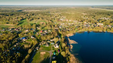 Göl kıyısında yetişen yeşil ağaç kocakarılarının hava aracı fotoğrafı. Doğa manzarası. Orman gölü manzarası. Seyahat kavramı.