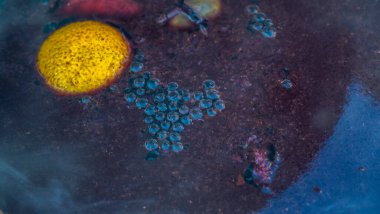 Sıcak sıcak şaraplı kazanlar. Sıcak şarap sokaktaki eski bir kazanda pişirilir. Açık ateşte yemek pişirmek. Yakın plan. Neşeli alkol içeceği..