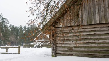 Kır evinin arka planında ağaçların sarı yaprakları karla kaplı..