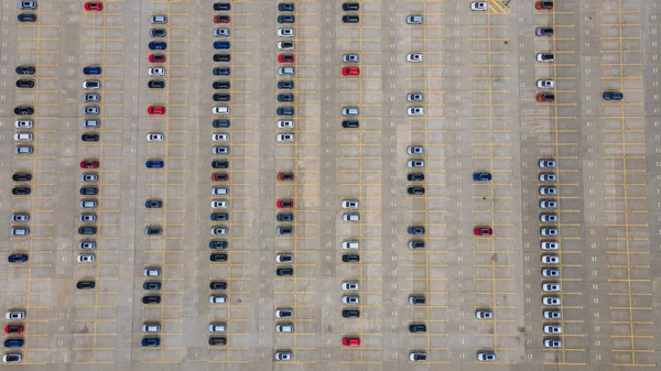 Hava manzaralı yeni araba ithalat ve ihracat işi lojistiği için otomobil fabrikasının sokak parkında satılığa çıktı. Ticari iş dünyası için otomobil ve otomobil otoparkı.