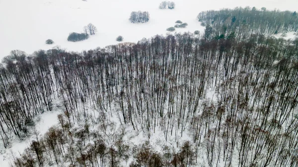 Luftaufnahme Von Bäumen Ohne Blätter Schneebedecktem Boden Weiße Winterlandschaft — Stockfoto