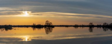 Dalgalanan sular altında kalan ağaçlar. Sudaki ağaçlar. Beyaz Rusya 'nın Turov kenti yakınlarındaki Pripyat Nehri' nin taşmasıyla manzara.