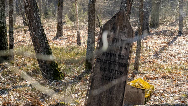Yahudi Mezar Taşı Ormandaki Eski Yahudi Mezarlığı — Stok fotoğraf