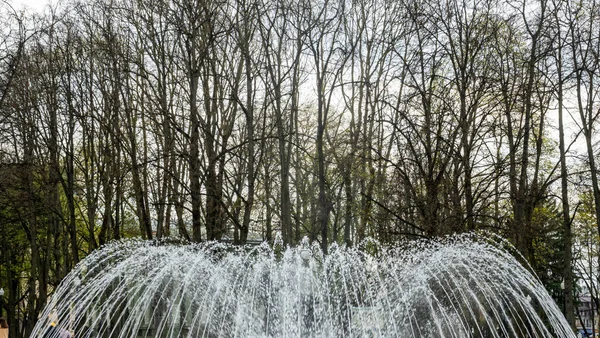 Wasser Aus Dem Brunnen Die Spitze Des Springbrunnens Hinter Dem — Stockfoto