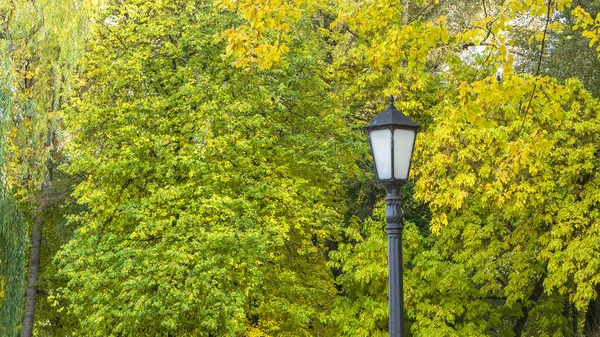 Ліхтар Проти Осінніх Жовтих Дерев Вулична Лампа Осінньому Парку Прекрасний — стокове фото