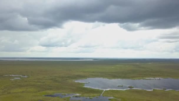 Vista Superior Paisagem Pantanosa Vista Aérea Pântano Com Lago Conceito — Vídeo de Stock