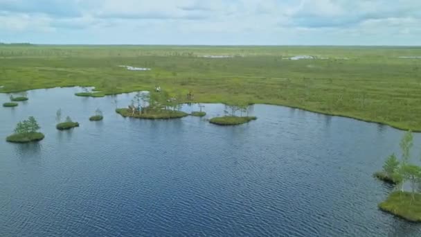 Górny Widok Bagnisty Krajobraz Widok Lotu Ptaka Jeziorem Koncepcja Ochrony — Wideo stockowe