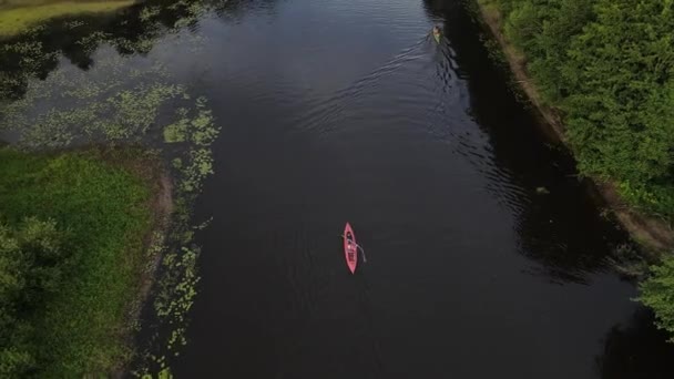 Kajakarstwo Kajakarstwo Wzdłuż Koryta Rzeki Widok Powietrza Rafting Namierzam Łódź — Wideo stockowe