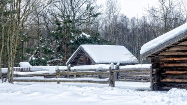 Kış karı köyün evini, çitlerini ve ağaçlarını kapladı. Güzel bir kışın ortasında, bir sürü beyaz kar ve ağaçla dolu güzel bir köy evi..