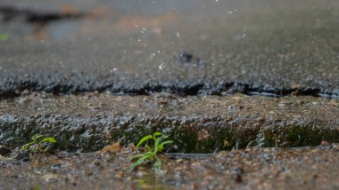 Yağmur mevsimi. Şiddetli yağmur bulutların yükseldiği bir yola düşüyor..