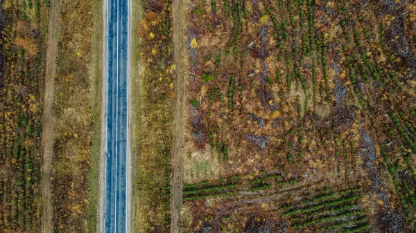 Vue Aérienne Haut Vers Bas Route Asphaltée Campagne Automne Couleurs — Photo