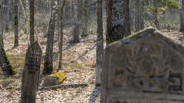 유대인의 묘지에 버려진 묘비에는 히브리어 비문이 새겨져 가을에 묘지의 배경에 — 스톡 사진