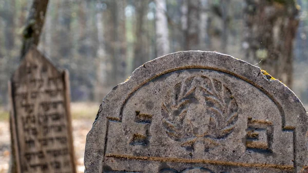 Yahudi Mezar Taşı Ormandaki Eski Yahudi Mezarlığı — Stok fotoğraf