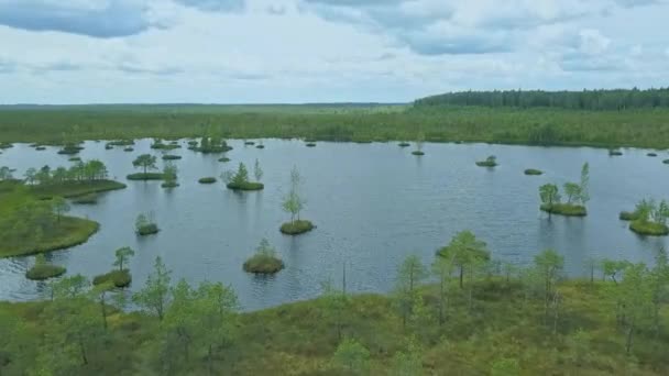 Vista Superior Paisagem Pantanosa Vista Aérea Pântano Com Lago Conceito — Vídeo de Stock