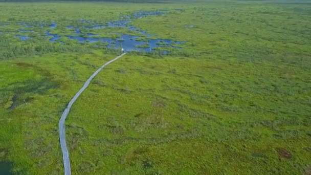 Вид Зверху Болотний Пейзаж Вид Повітря Болото Озером Концепція Екологічного — стокове відео