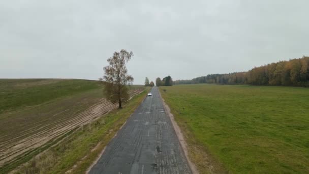 Luftaufnahme Eines Weißen Elektroautos Das Auf Einer Landstraße Fährt Modernes — Stockvideo