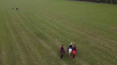 Çayırda at süren klasik kostümlü grup sürücülerinin hava görüntüsü. Binicilik konsepti. Kırsal kesimde ekolojik ulaşım.
