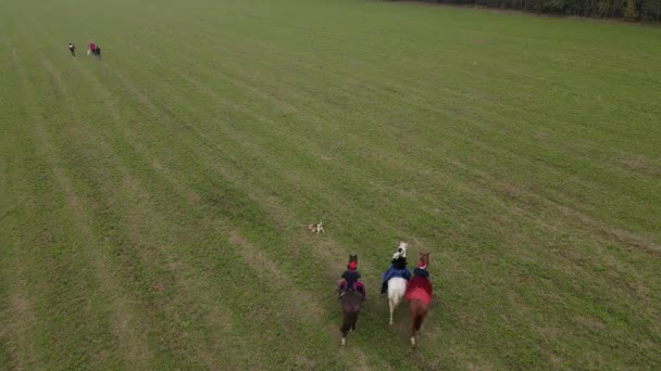 Luftaufnahme Von Reitergruppen Historischen Kostümen Die Auf Laufpferden Auf Der — Stockvideo