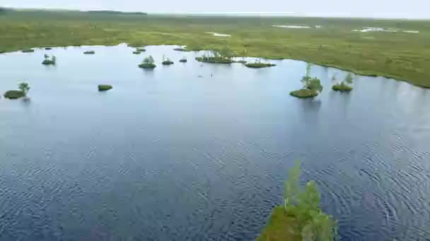 Вид Зверху Болотний Пейзаж Вид Повітря Болото Озером Концепція Екологічного — стокове відео