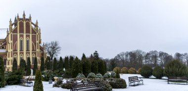 Çimenlerle kaplı kar üzerinde ahşap bir bank. Peyzaj tasarımı. Arka planda ardıç ve thuja çalıları var. Kış kavramları.
