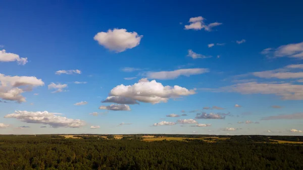 Blue Sky Panorama Clouds Tops Green Trees White Fluffy Clouds — Stock Photo, Image