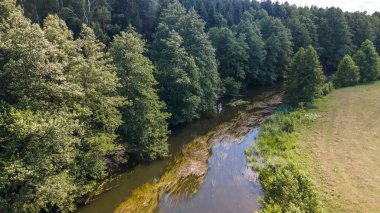 Nehir ve yeşil ormanın güzel doğal manzarası. Ormanda yavaşça akan sessiz bir nehrin manzarası. Rahatlatıcı sahne.