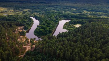 Belarus 'taki Berezina nehrinin turistik bölgesinde muhteşem bir panoramik manzara. Hava manzaralı nehir, orman ve sahil..