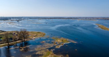 Dalgalanan sular altında kalan ağaçlar. Sudaki ağaçlar. Beyaz Rusya 'nın Turov kenti yakınlarındaki Pripyat Nehri' nin taşmasıyla manzara.