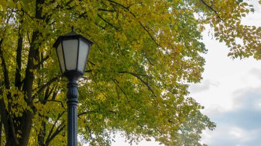 Sonbahar sarı ağaçlarına karşı fener. Sonbahar parkındaki sokak lambası. Eski moda lambalı güzel sonbahar manzarası. Sonbahar doğası.